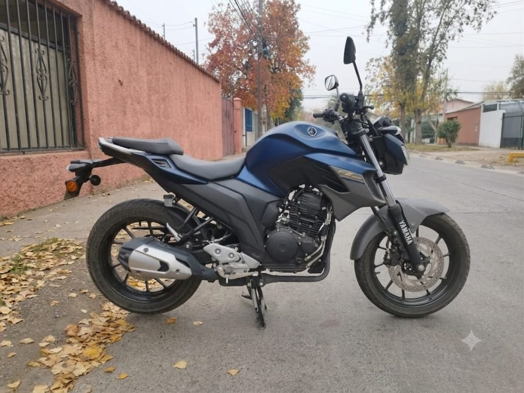 YAMAHA FZ 25 - 2024