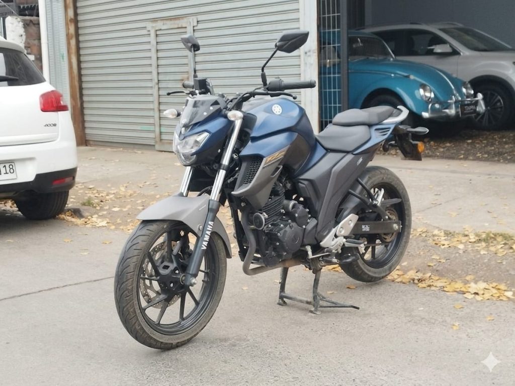YAMAHA FZ 25 - 2024